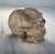 Up for sale is an exquisite antique hand-carved rock crystal skull sculpture. This highly detailed sculpture features...