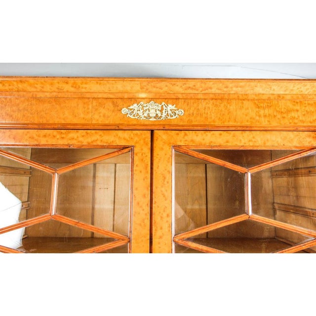 Charles X French Burr Maple and Ormolu Bookcase, 19th Century For Sale - Image 5 of 18