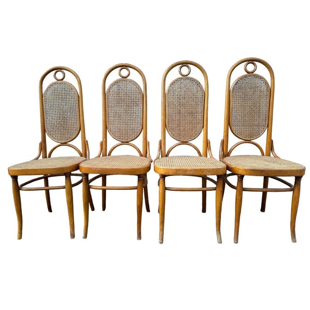 1900 - 1909 Antique Chairs from Thonet, 1900, Set of 4 For Sale - Image 5 of 14