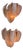 Murano Glass Wall Sconces, 1960s, Set of 2 For Sale