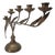 French Art Nouveau Brass Lily Botanical Candelabra, 5-Light, Early 20th Century 15" For Sale