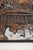 Birger Th. Hansen, Abstract, Collage For Sale - Image 5 of 11