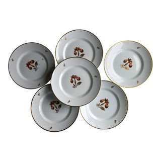 1950s Royal Copenhagen Brown Iris Dinner Plates - Set of 6 For Sale