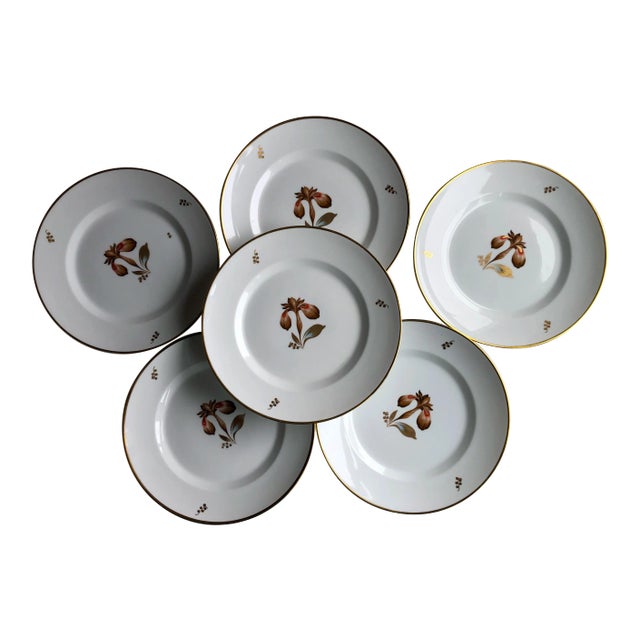 1950s Royal Copenhagen Brown Iris Dinner Plates - Set of 6 For Sale
