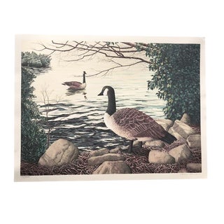 American Landscape Portrait "Canadian Goose" Lithograph Signed by Helen Rundell For Sale