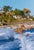 Acapulco Waterskier by Toni Frissell A water skier in motion, Acapulco in 1954. (Photo by Toni Frissell) 16x12" inches /...