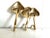 2020s Brass Mushrooms Triple Wall Hook For Sale - Image 5 of 7