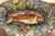 French 19th Century French Hand Painted Ceramic Barbotine Fish Platter Palissy Style For Sale - Image 3 of 7