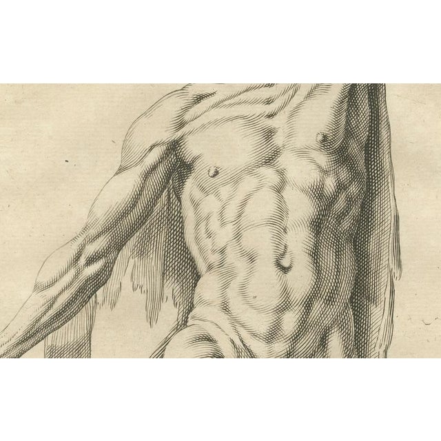 Anatomical Male Figure Study with Raised Arm, 1745, Paper For Sale - Image 4 of 10