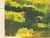 Contemporary Tall Riverside Pine Trees in the English Countryside with dappled light & water 2009 For Sale - Image 3 of 16
