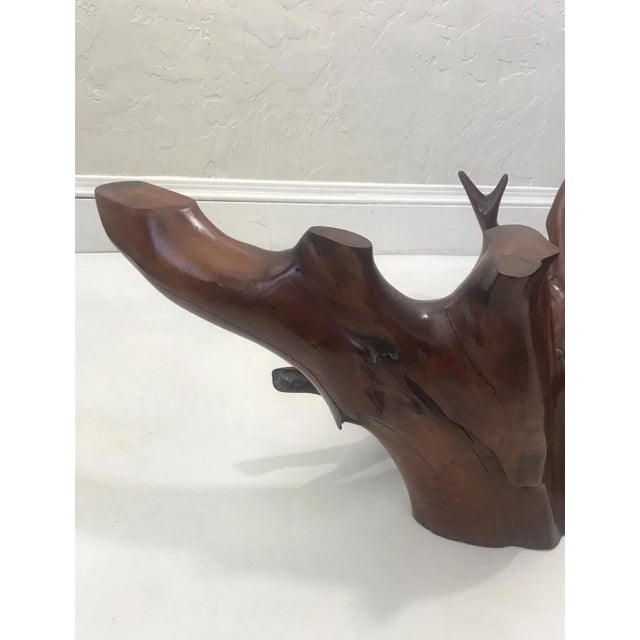 Mid Century Spanish Walnut Root Glass Top Coffee Table For Sale - Image 9 of 15