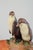 Ceramic Dish with Two Penguins from Ipsens Enke, 1920s For Sale - Image 3 of 5