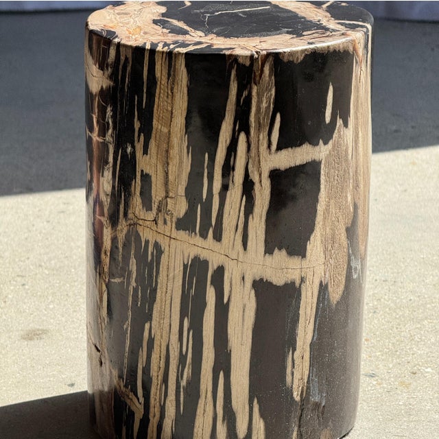 Small Side Table in Petrified Wood, Black Heartwood, Bark with Black and Beige Streaks, 1980s For Sale - Image 18 of 18