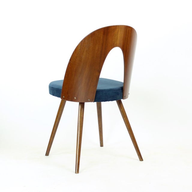 Tatra Chairs in Walnut and Velvet by Šuman, 1960s, Set of 6 For Sale - Image 6 of 18