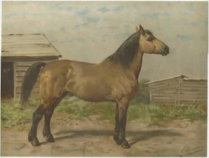 O. Eerelman, Canadian Horse, 1898, Paper
