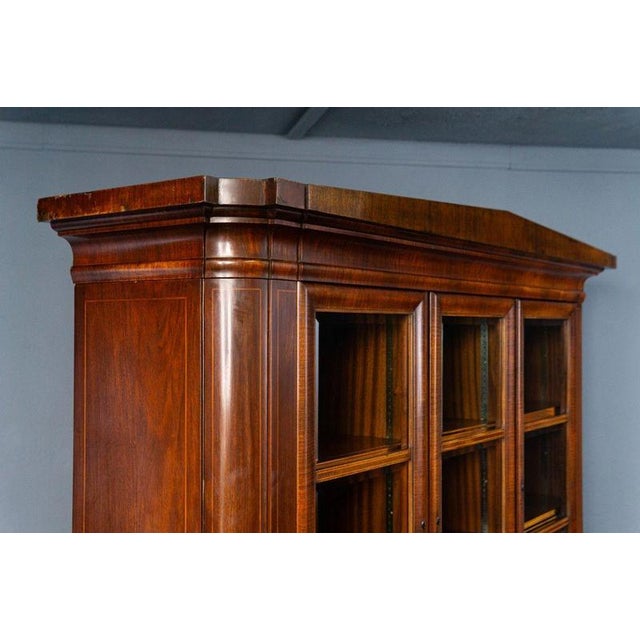 Vintage Display Bookcase, 1890s-1910s For Sale - Image 5 of 18