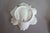 Mid 20th Century Vintage French Limoges Botanical Oyster Serving Plate For Sale - Image 5 of 5