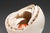 Shell Sculpture with Orange Core, 1970s, Ceramic For Sale - Image 16 of 17