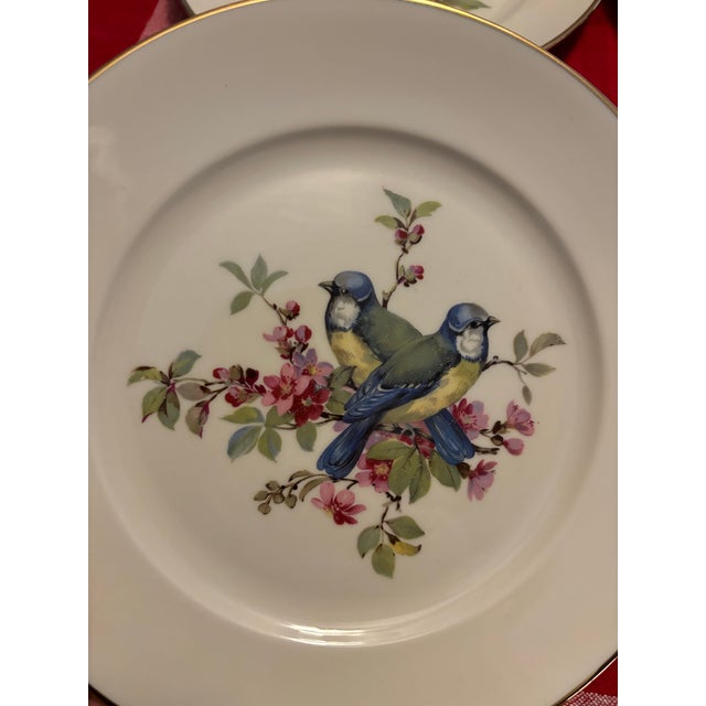 Blue Mid Century Jkw Western Germany Porcelain Song Bird Plates, Set of 6 For Sale - Image 8 of 12