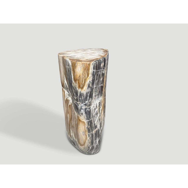 Contemporary Andrianna Shamaris Modern Organic Petrified Wood Side Table For Sale - Image 3 of 5