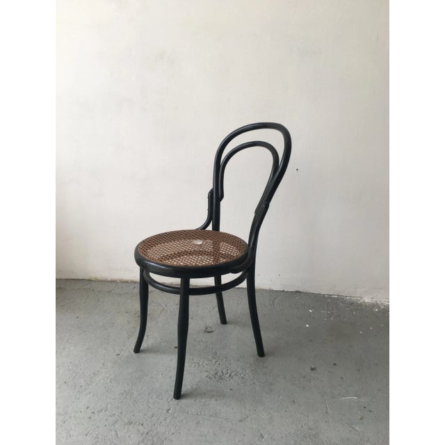 Antique Bent Beech Dining Chair in the Style of Gebrüder Thonet, 1910s For Sale - Image 12 of 12