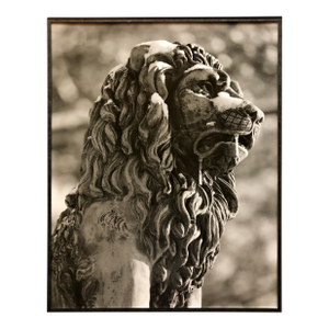 Theodore CohenStone Lion Sculpture Photograph, Jerusalem Vintage Silver Gelatin Photo Print, c.1960's