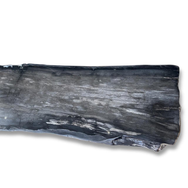 Andrianna Shamaris Exquisite High Quality Petrified Wood Dining Table Or Console For Sale In New York - Image 6 of 18