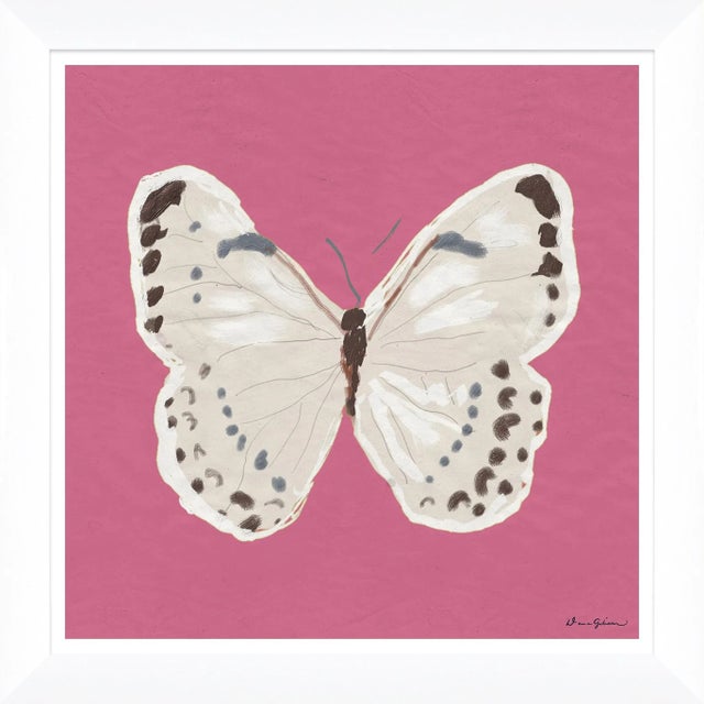 Contemporary White Monarch in Pink By Dana Gibson, Framed Art Print For Sale - Image 3 of 3