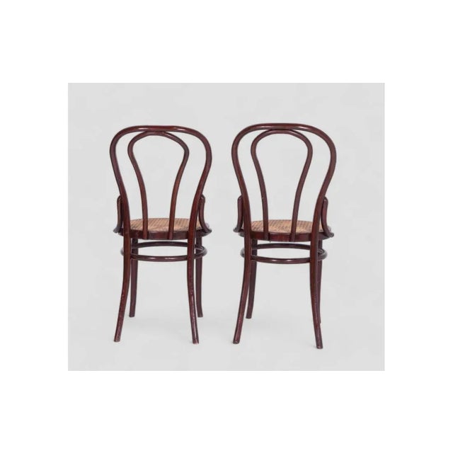Wood Vintage Sl N8 Chairs, Set of 4 For Sale - Image 7 of 8