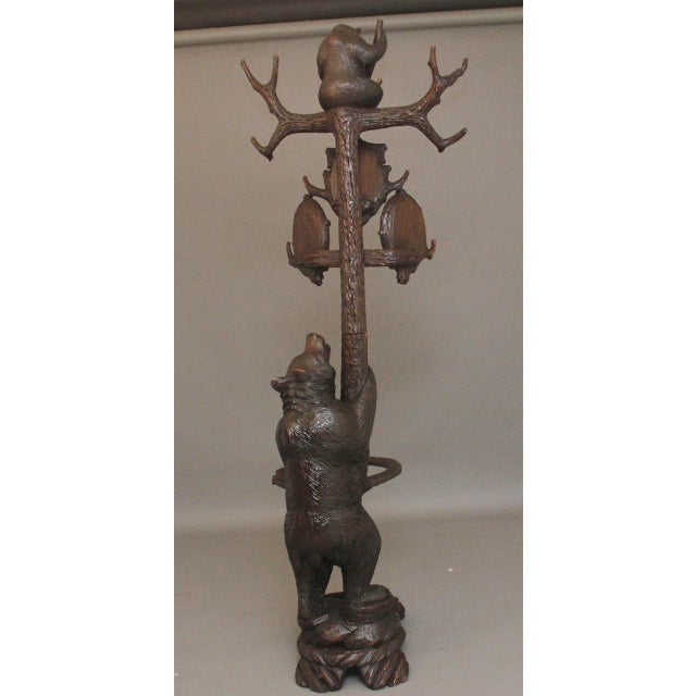 19th Century Black Forest Bear Hall Stand, 1880s For Sale - Image 9 of 18