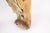 Wood Antique Architectural Hand-Carved Classical Revival Style Corbel For Sale - Image 7 of 13