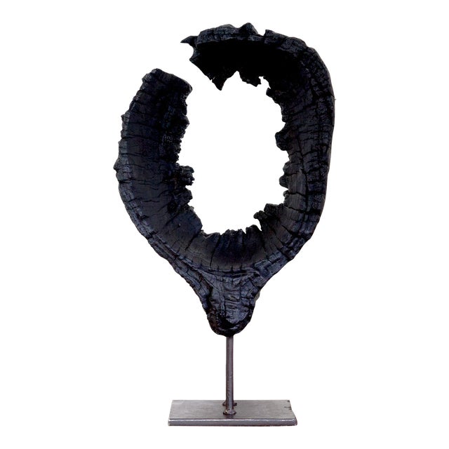 Kandara Yakisugi Modern Organic Sculpture For Sale