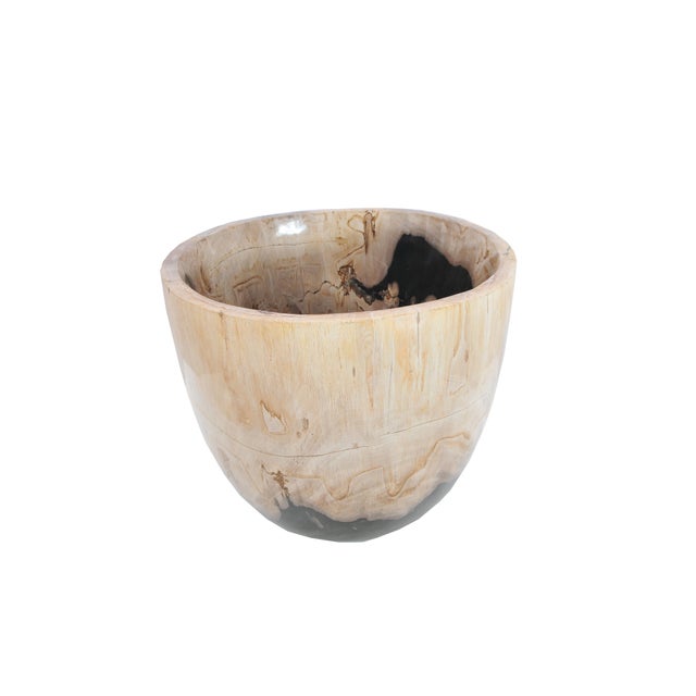 Petrified Wood Plant Pot by Xyleia Petrified Wood For Sale - Image 4 of 6