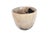 Petrified Wood Plant Pot by Xyleia Petrified Wood For Sale - Image 4 of 6