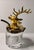 1920s Antique Ormolu Figural Stag Head Mustard Jar, Circa 1920 For Sale - Image 5 of 13