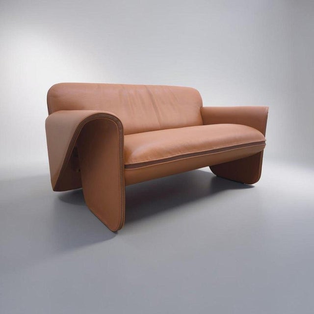 DS-125 3-Seater and 2-Seater Sofa in Brown Leather by Gerd Lange for de Sede, Set of 2 For Sale - Image 3 of 18