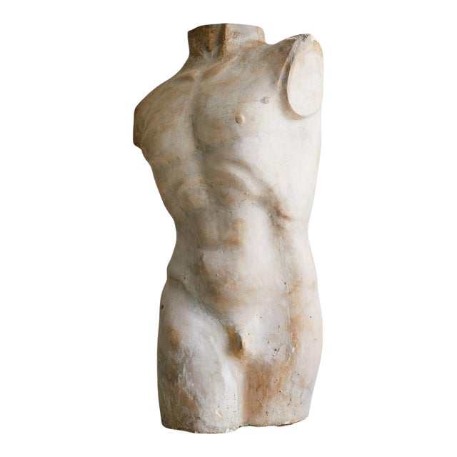 Vintage French Plaster Male Torso Sculpture For Sale
