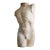 Vintage French Plaster Male Torso Sculpture For Sale