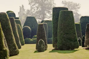 Guy Sargent, Le Jardin IV, Photograph