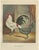 The Silver Penciled Chicken, 1888, Lithograph, Print For Sale
