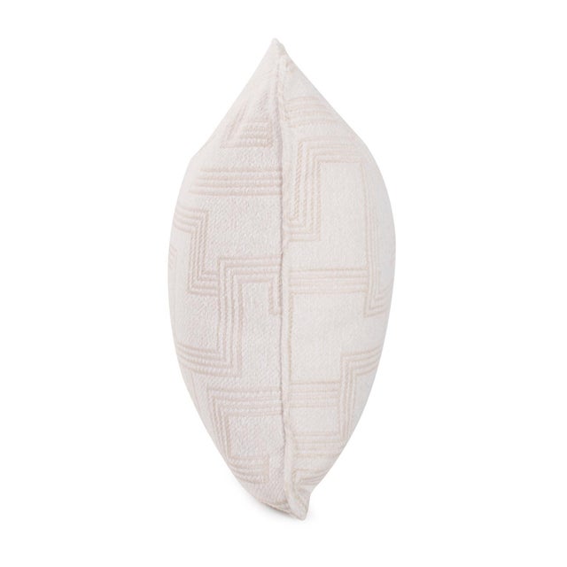Kenneth Ludwig Chicago Indoor/Outdoor Pillow 20 x 20 Syros Natural For Sale - Image 4 of 11