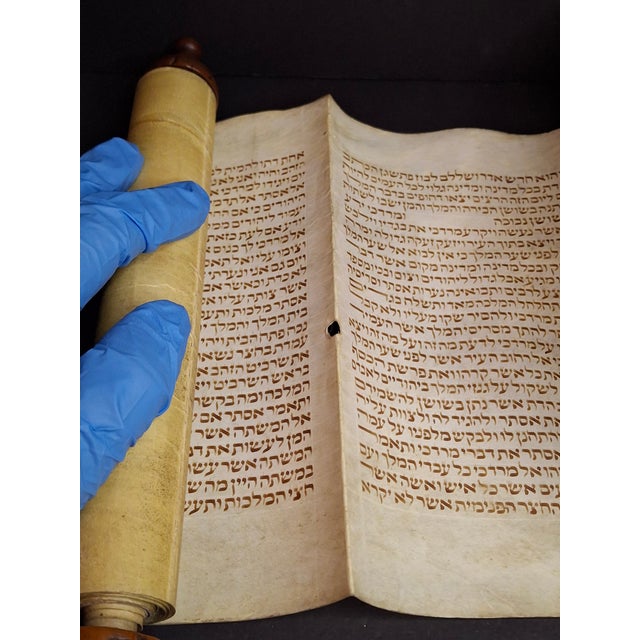 Antique 19th C Megillat Esther Parchment Scroll Ashkenazi Script Wood Roller For Sale - Image 16 of 17