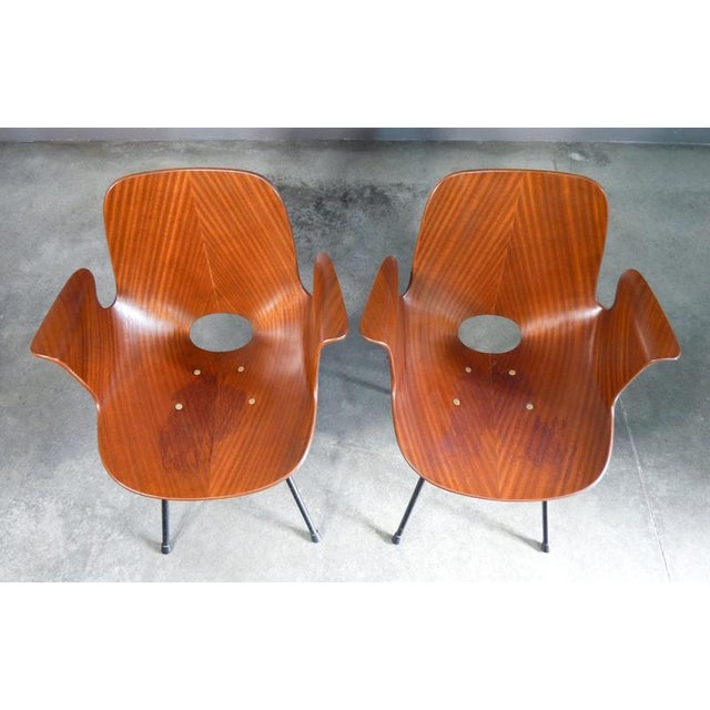 Medea Chairs by V. Nobili for Tagliabue, Set of 2 For Sale - Image 14 of 18