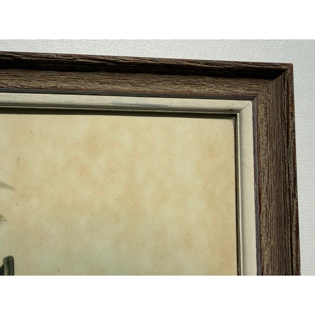 Paper Mid 20th Century Framed Print of Greenland Falcon, Joseph Wolf, From "Traité De Fauconnerie" For Sale - Image 7 of 14