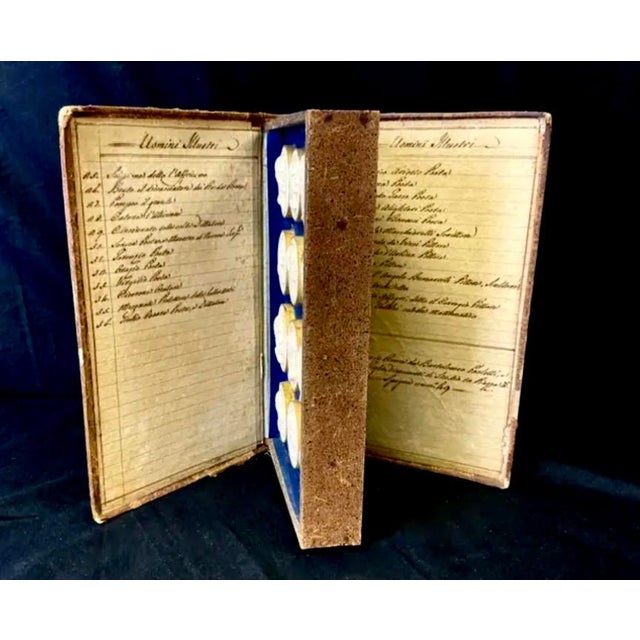 Grand Tour Book of Plaster Intaglios by Bartolomeo Paoletti #2 For Sale - Image 16 of 16