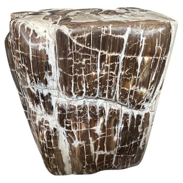 2010s Andrianna Shamaris Ancient Sculptural Petrified Wood Side Table For Sale - Image 5 of 18
