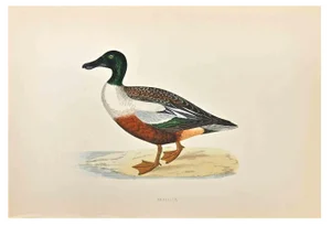 Alexander Francis Lydon, Shoveler, Woodcut Print, 1870