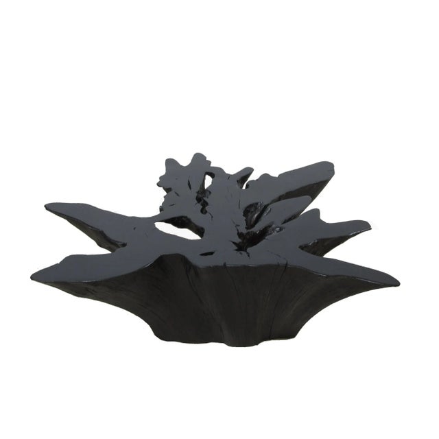 Organic Modern Teak Root Coffee Table For Sale - Image 4 of 9