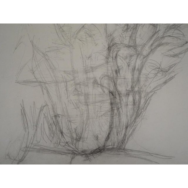 Modern Alberto Giacometti, Arbres, Lithograph For Sale - Image 3 of 5