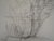 Modern Alberto Giacometti, Arbres, Lithograph For Sale - Image 3 of 5